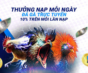 Thưởng Nạp Mỗi Ngày Đá gà trực tuyến 10% trên MỖI LẦN NẠP