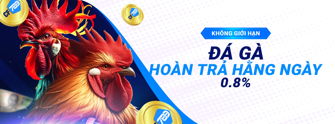 Đá Gà Hoàn trả hằng ngày 0.8%