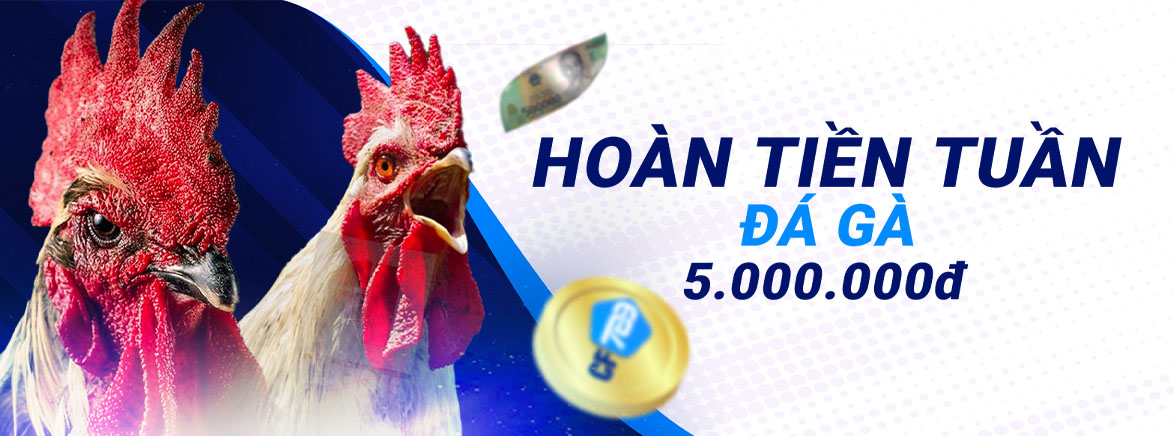 Hoàn tiền tuần Đá gà 5.000.000 đ