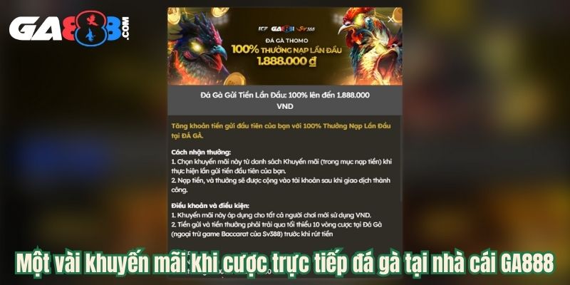 Một vài khuyến mãi khi cược trực tiếp đá gà tại nhà cái GA888