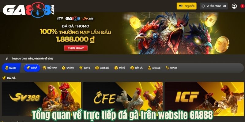 Tổng quan về trực tiếp đá gà trên website GA888