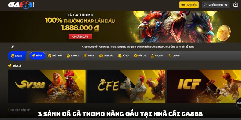 3 sảnh đá gà Thomo hàng đầu tại nhà cái GA888