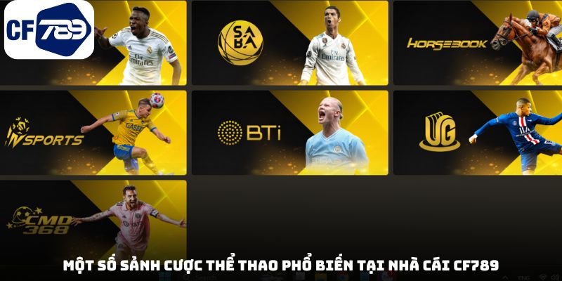 Một số sảnh cược thể thao phổ biến tại nhà cái CF789