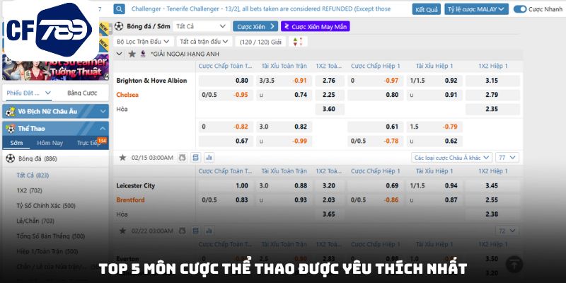 Top 5 môn cược thể thao được yêu thích nhất